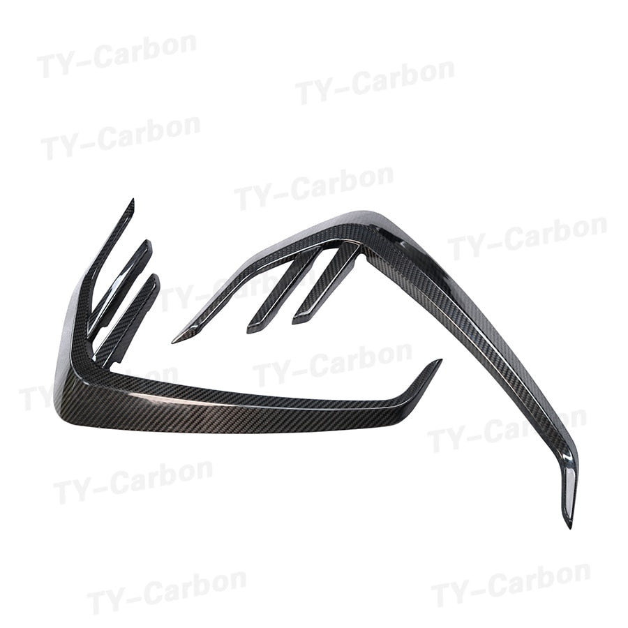 Dry Carbon Fiber Front Side Fender Fin